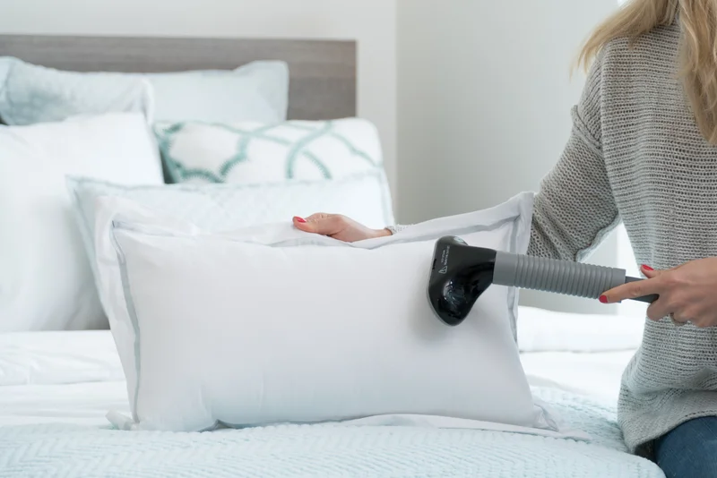 The Rival Garment Steamer