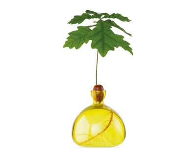 Acorn Vase