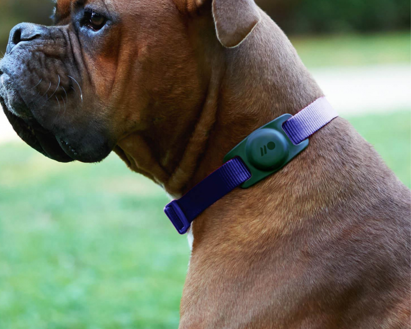 AirTag Case for Dog Collars