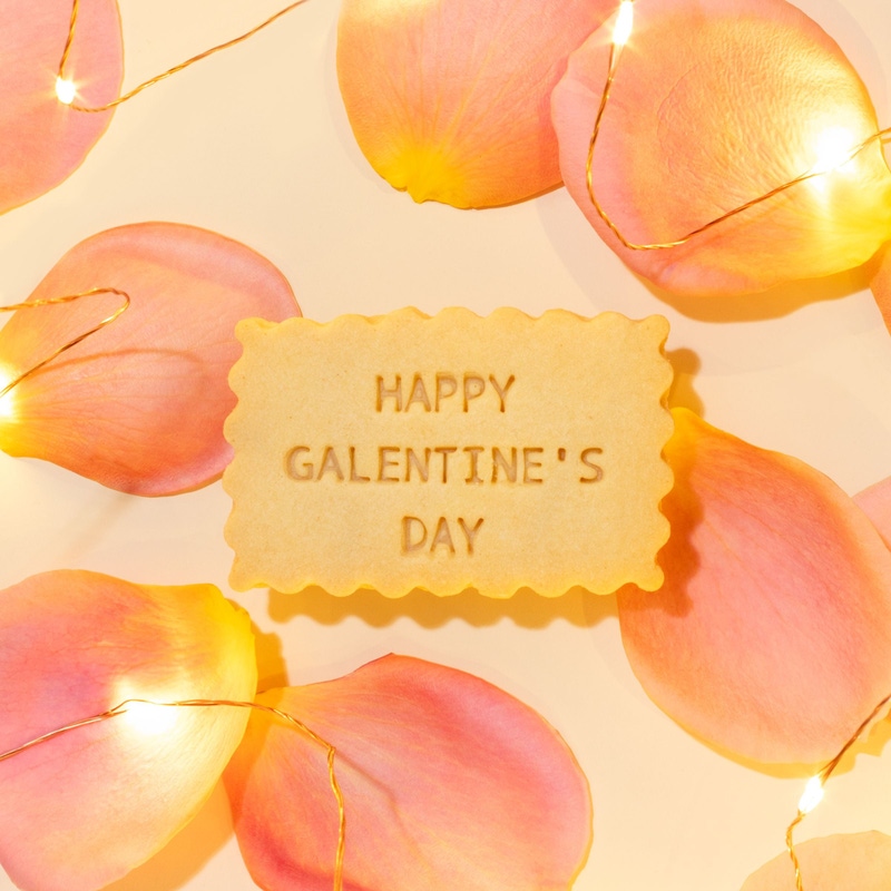 Happy Galentine's Day Mini Cookie Box