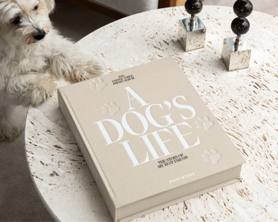 Pet Photo Album