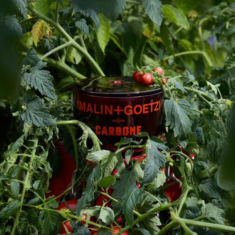 Carbone x Malin + Goetz Tomato Supercandle