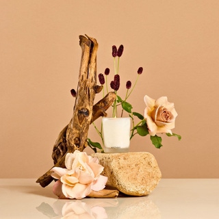 Santal Rock Rose