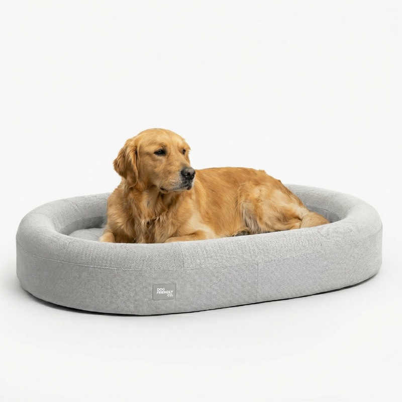 Medium Chill Pill Memory Foam Dog Bed