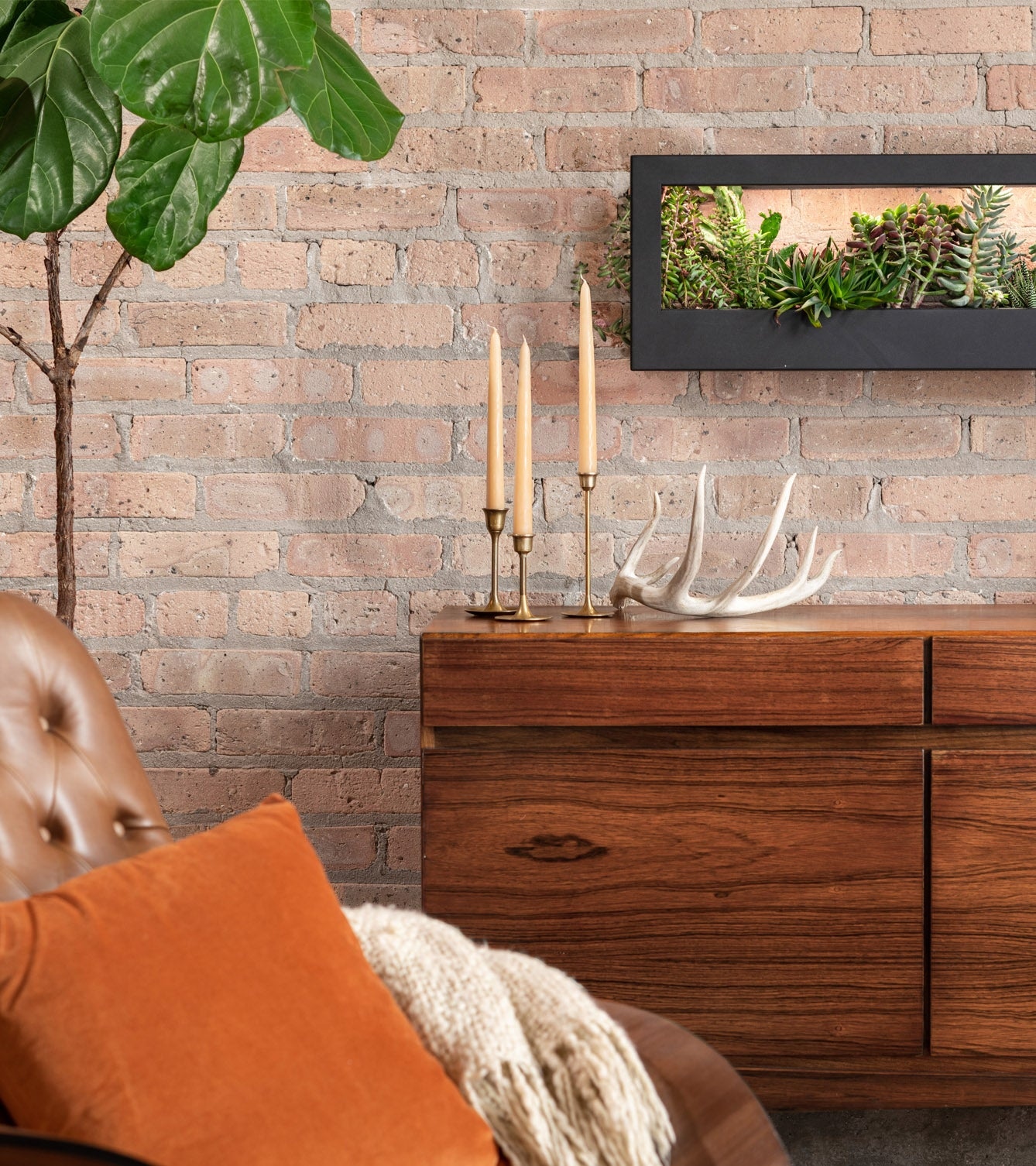 Modern Sprout Smart Landscape Growframe - Thumbnail 4