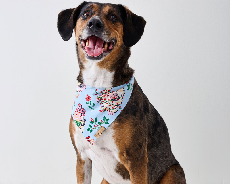 Large Pet Bandana