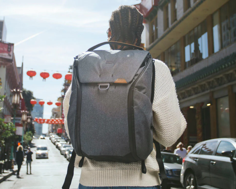 Everyday Backpack 20L