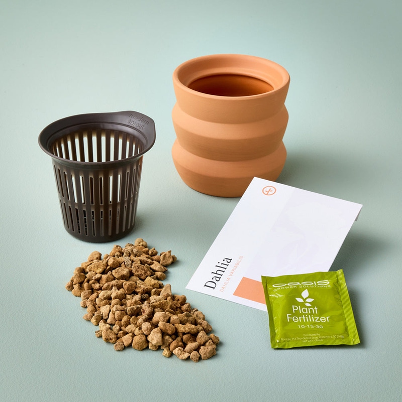 Tiny Terracotta Grow Kit