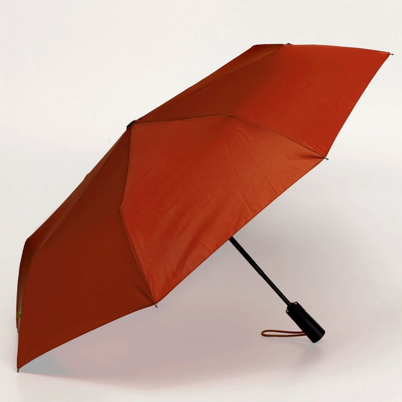 The Daily Umbrella
