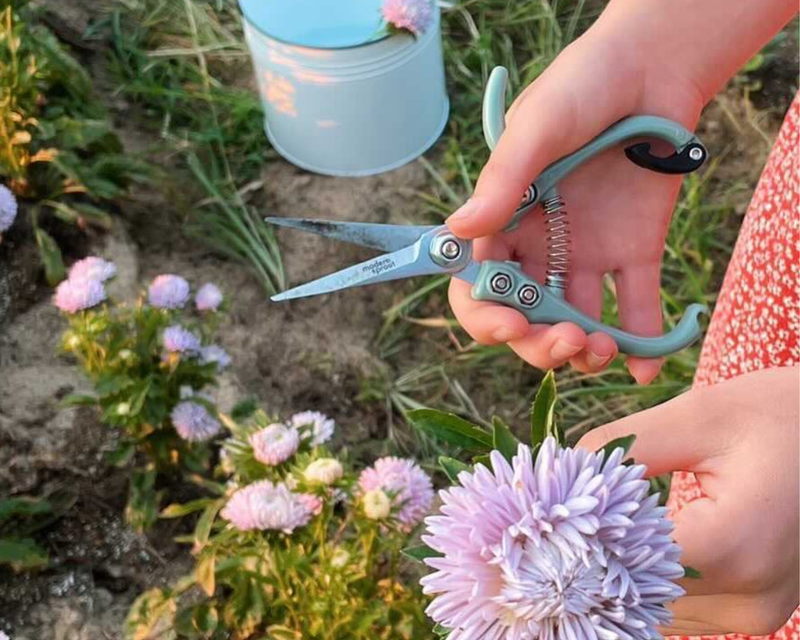 Garden Shears