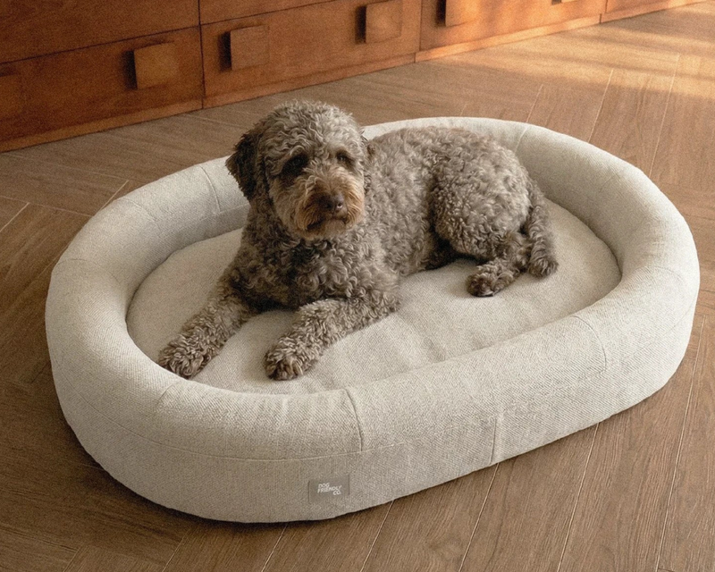 Small Chill Pill Memory Foam Dog Bed