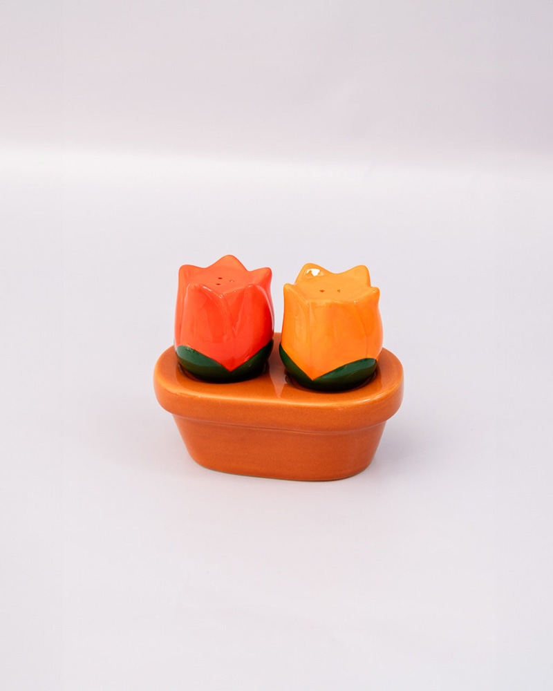 Salt & Pepper Set