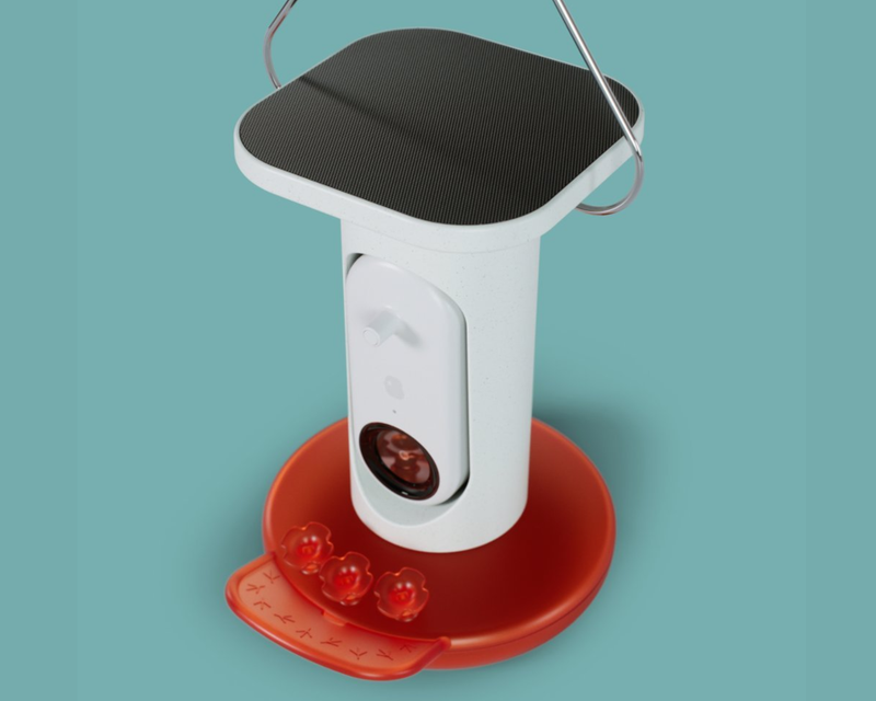Smart Hummingbird Feeder with Solar Roof 