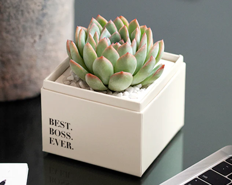 Boss's Day Bliss Garden