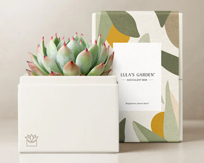 Bliss Garden