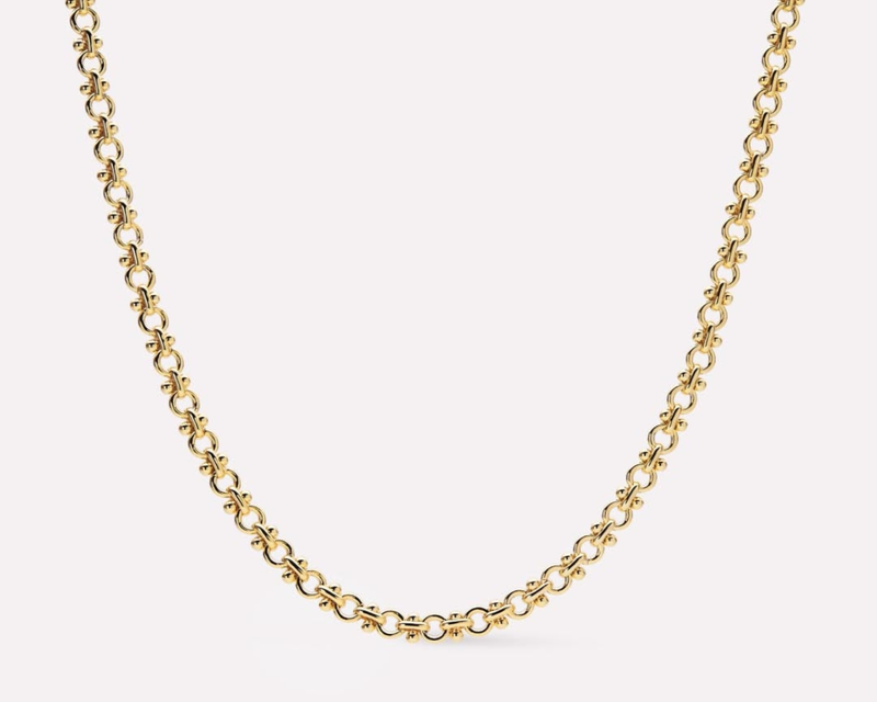 Hayden Thick Gold Chain Necklace