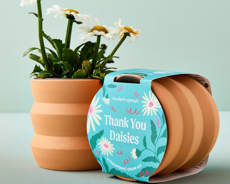 Tiny Terracotta Grow Kit