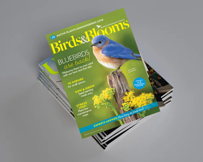 Birds & Blooms Magazine 1 Year Subscription