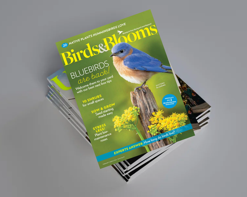 Birds & Blooms Magazine 1 Year Subscription