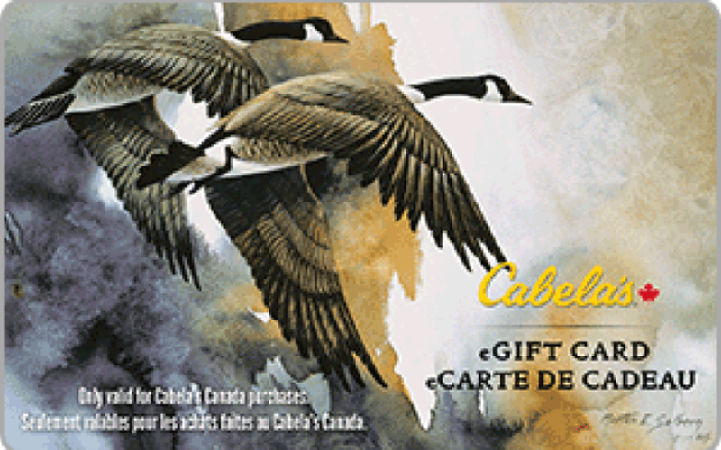 Cabela's