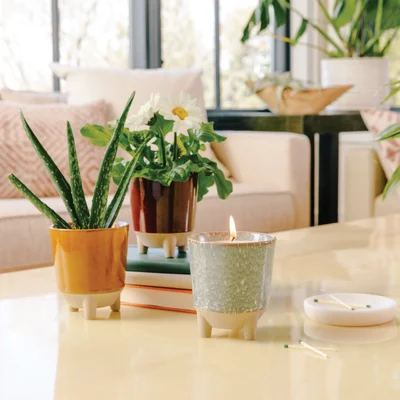Glow and Grow Kits