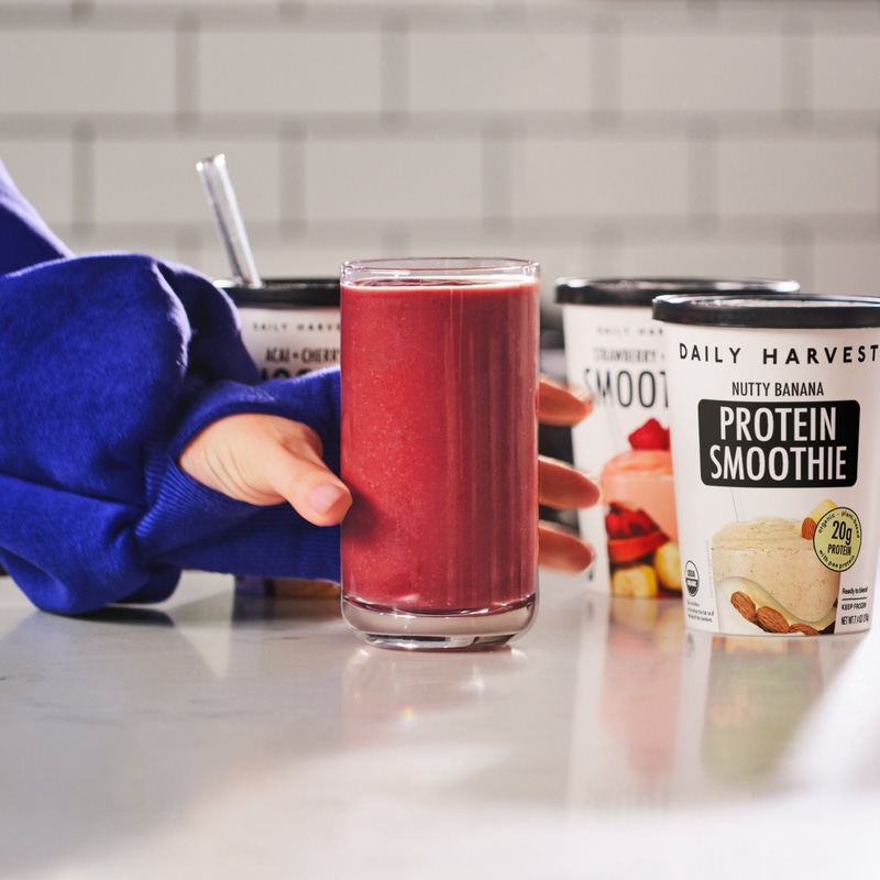High Protein Smoothie Bundle, 12-Pack