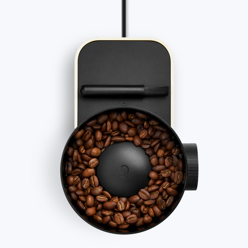 Branded Opus 2 Conical Burr Grinder - Wood Lid