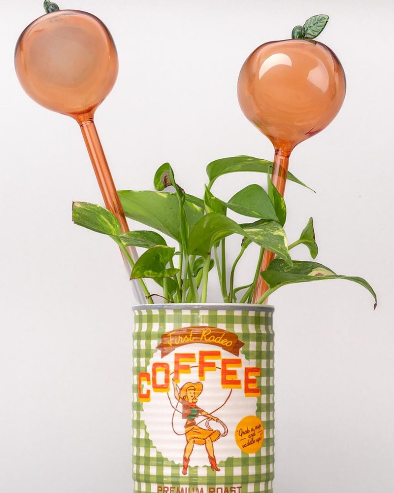 Peach Watering Globes
