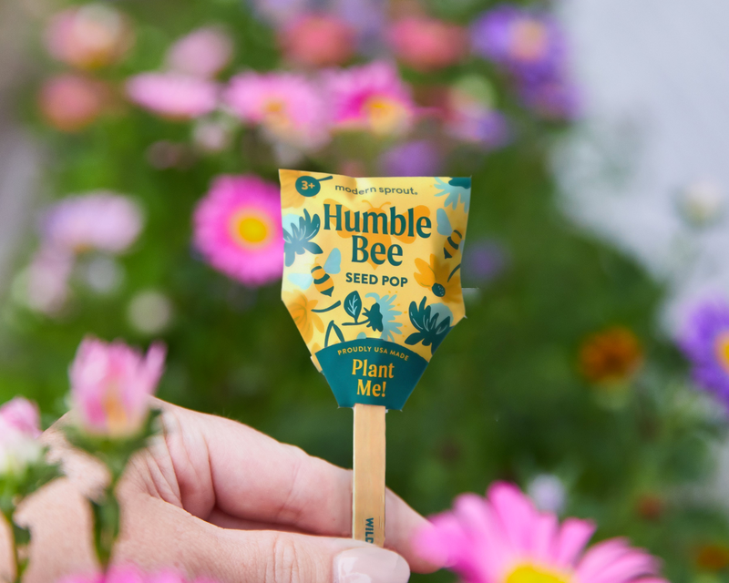 Seed Lollipop 3 Pack