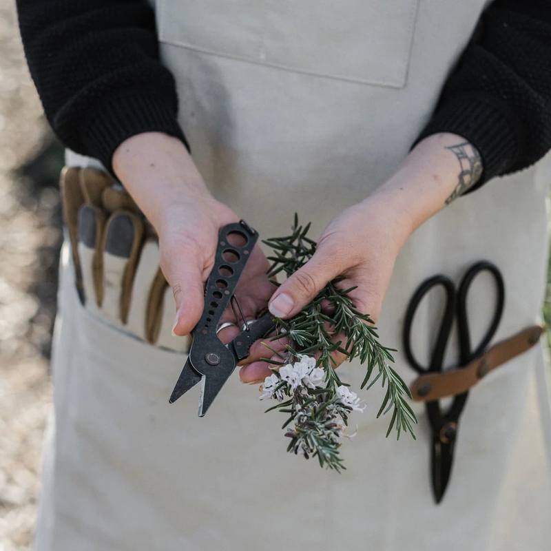 Herb Harvest and Strip Tool