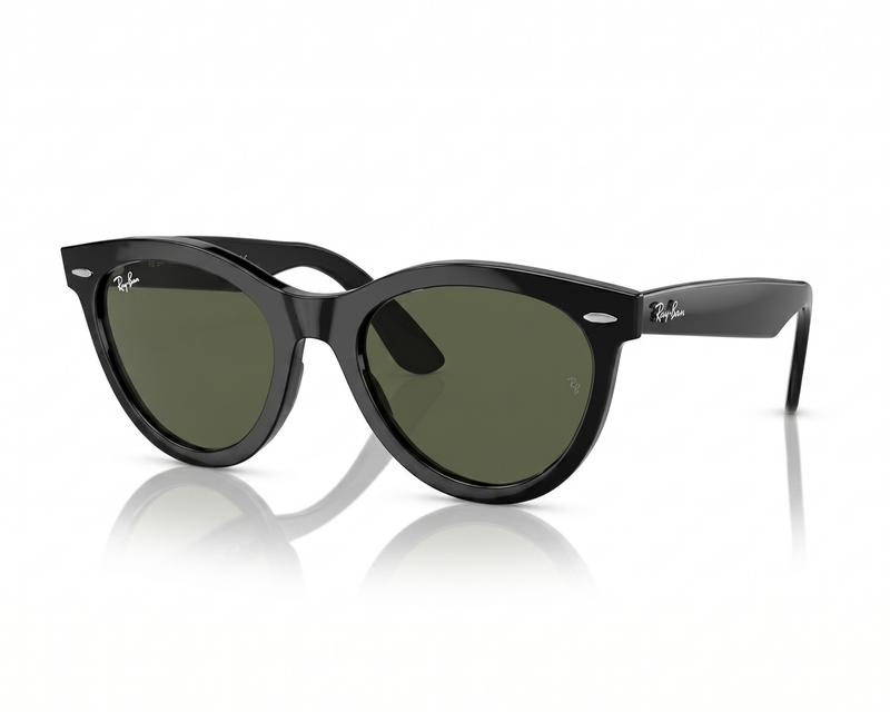 Wayfarer Way Sunglasses