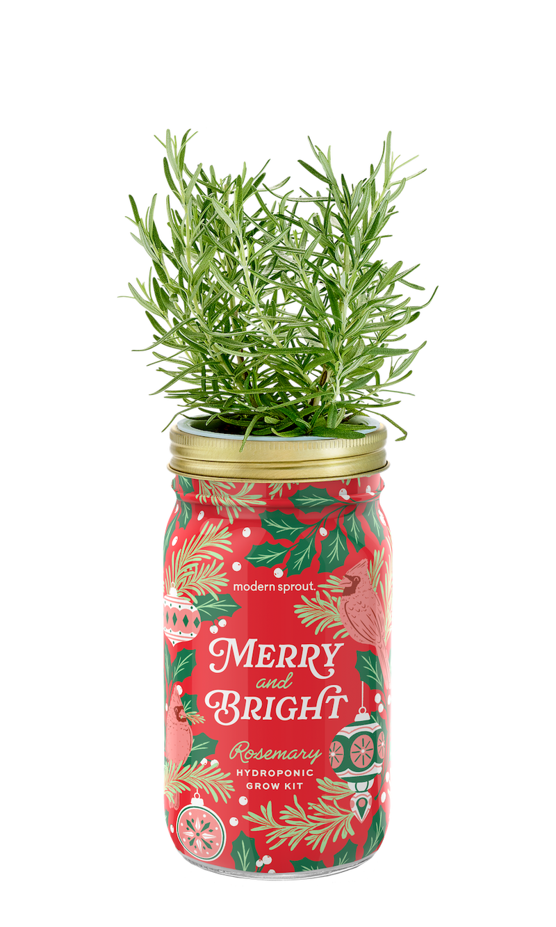 Holiday Herb Garden Jar