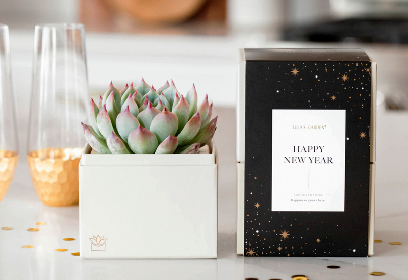 Happy New Year Bliss Garden