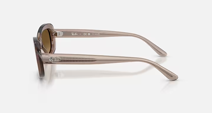 RB2221 Polarized Sunglasses