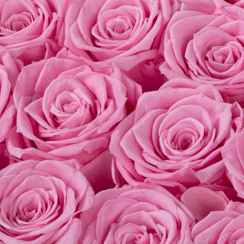 Ruby Crush 16 Pink Roses In Marble Box