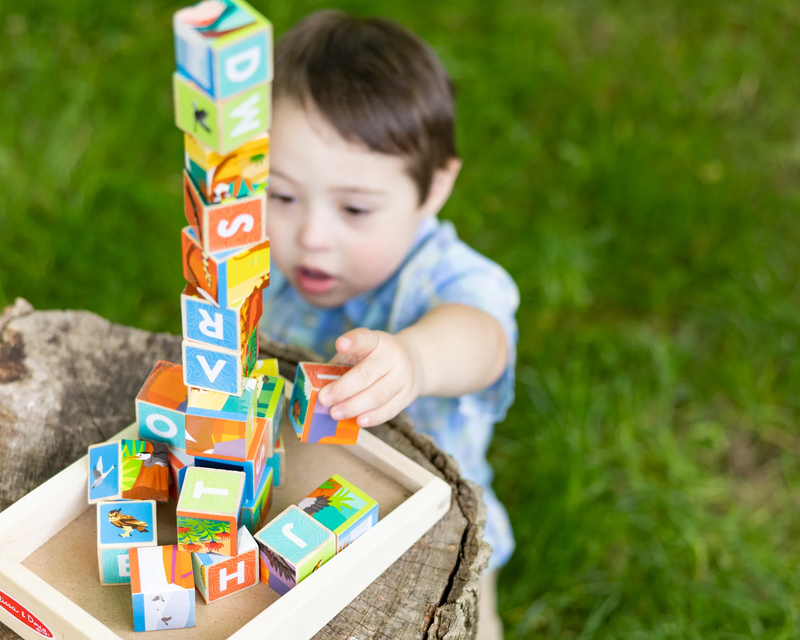 National Parks Alphabet & Animals Wooden Cube Puzzle