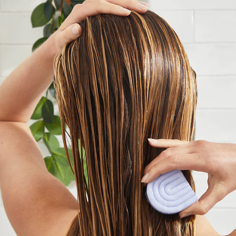 Solid Shampoo & Conditioner Bar Duo Set