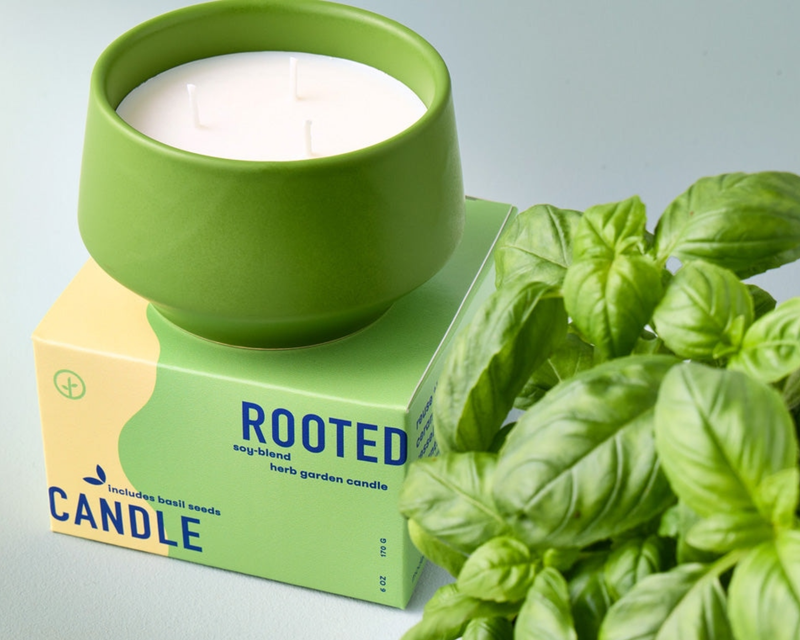 Rooted 3-Wick Candle