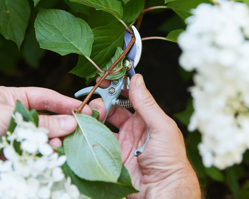 Garden Pruners