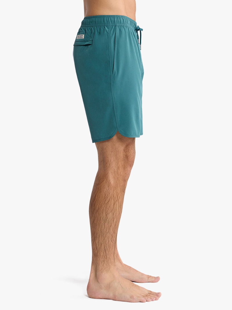 Anchor Trunk 8", Seapine
