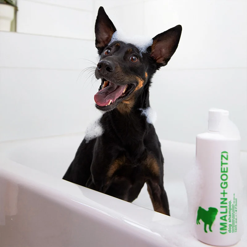 Dog Shampoo