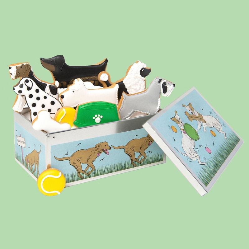 Pet Biscuit Tin