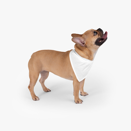 Branded Pet Bandana Collar
