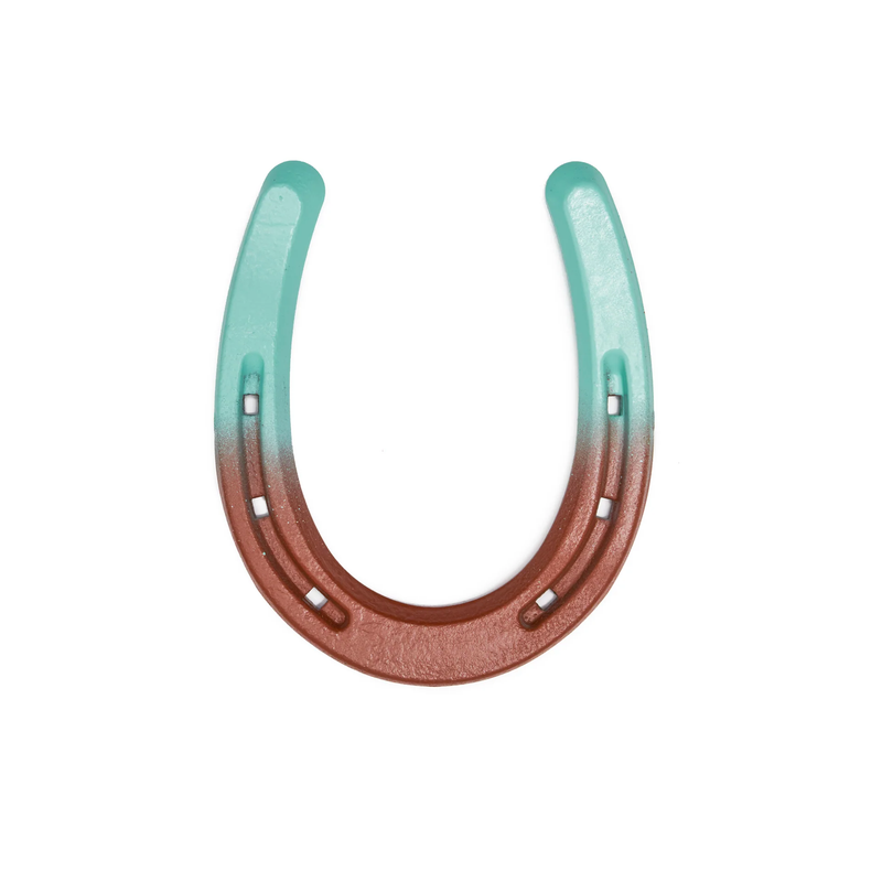 Colorful Painted Horseshoe