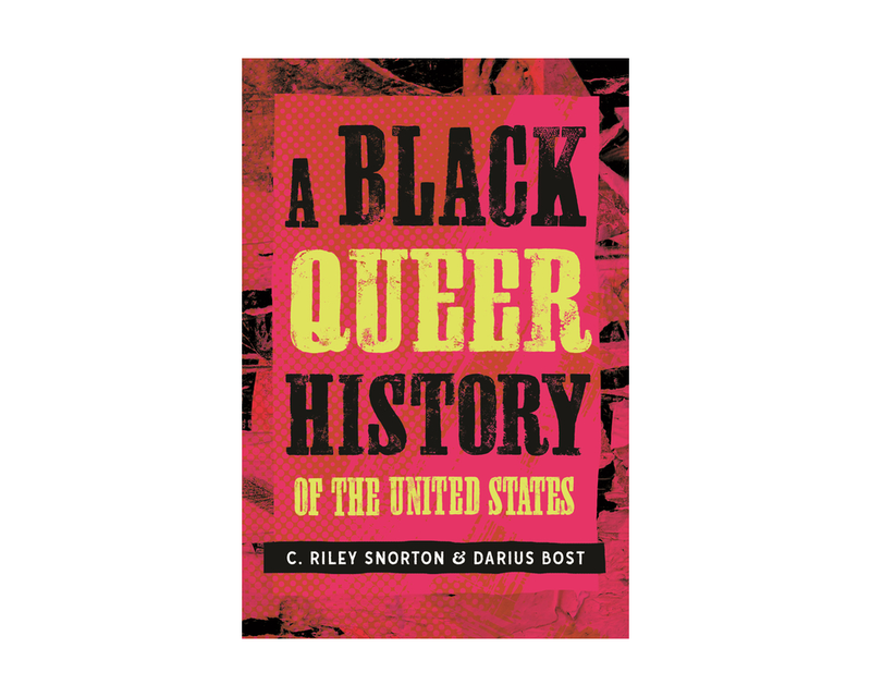 A Black Queer History of the United States (Revisioning History)