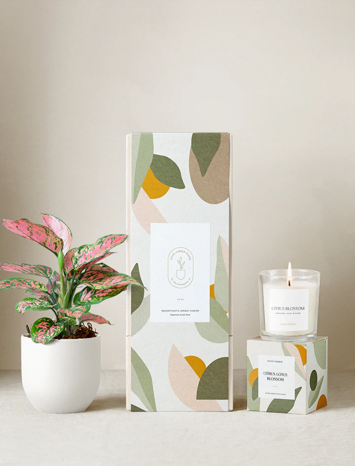 Lula's Garden Plant Gift Set