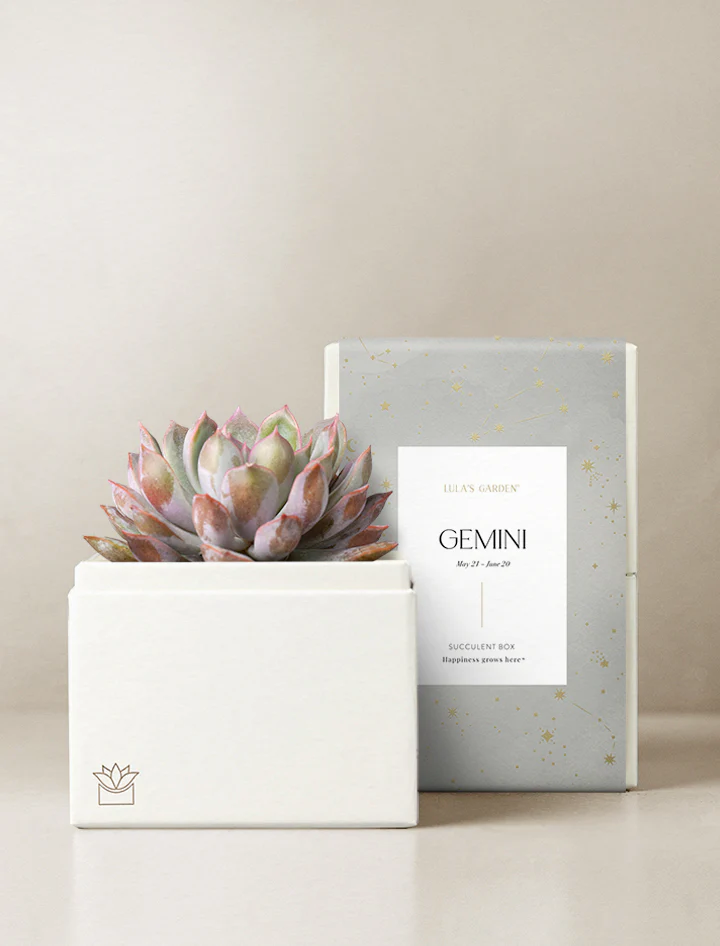 Birthday Astrology Garden