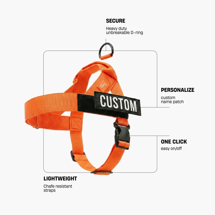 Dog Harness