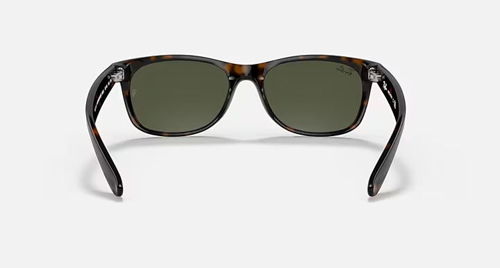 New Wayfarer Classic Sunglasses