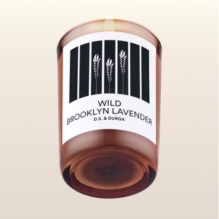 Wild Brooklyn Lavender